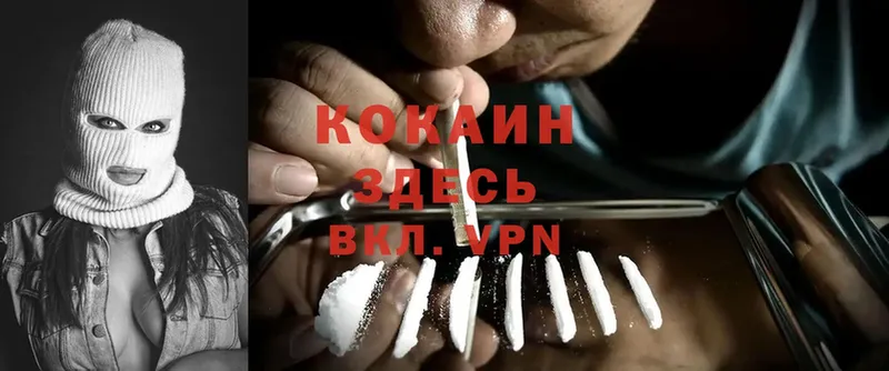 Cocaine Боливия  Алексин 